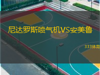 尼达罗斯喷气机VS安美鲁