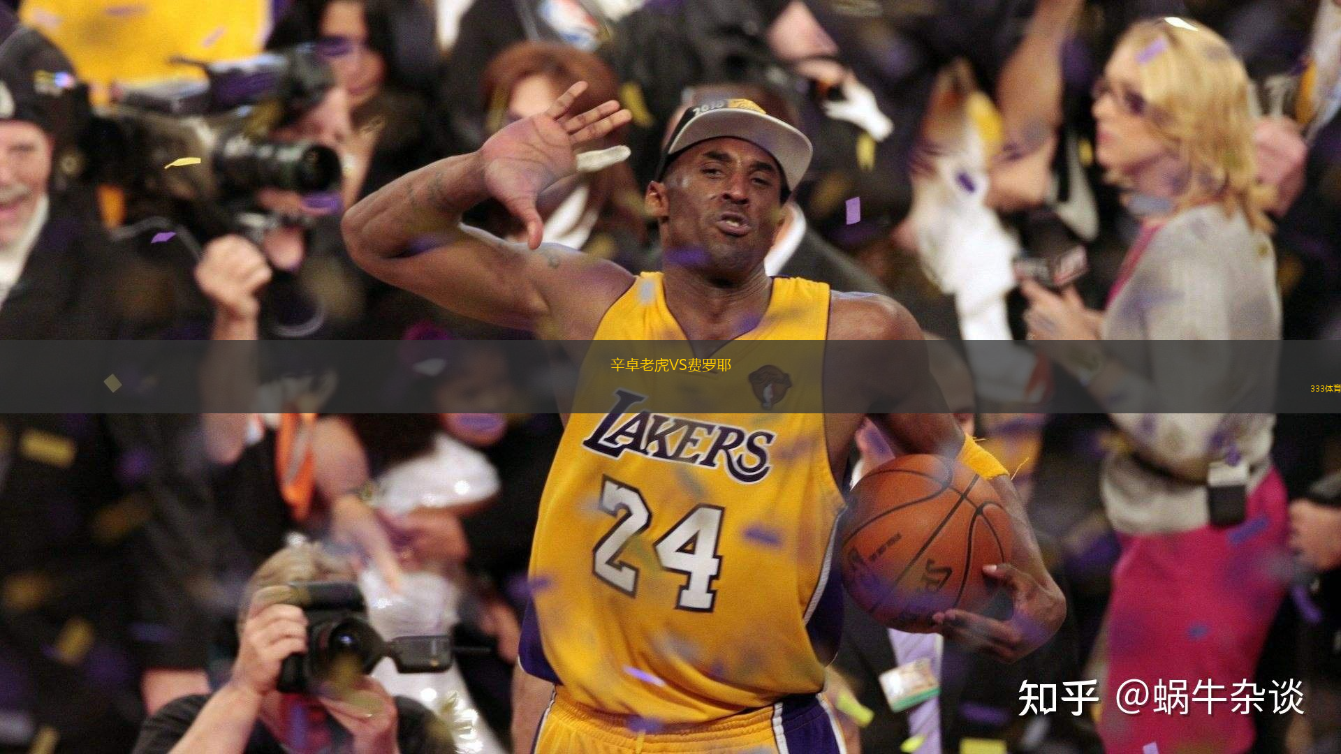 辛卓老虎VS费罗耶