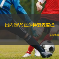 吕内堡VS霍尔特豪森蜜蜂