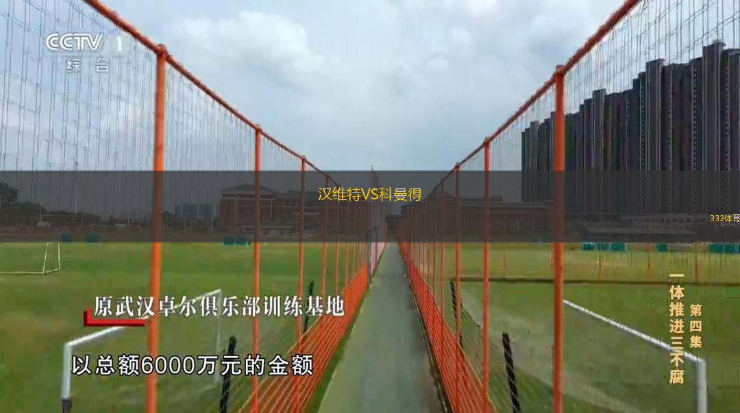 汉维特VS科曼得