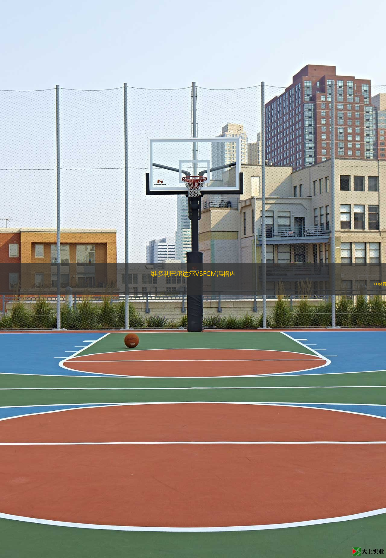 维多利巴尔达尔VSFCM温格内