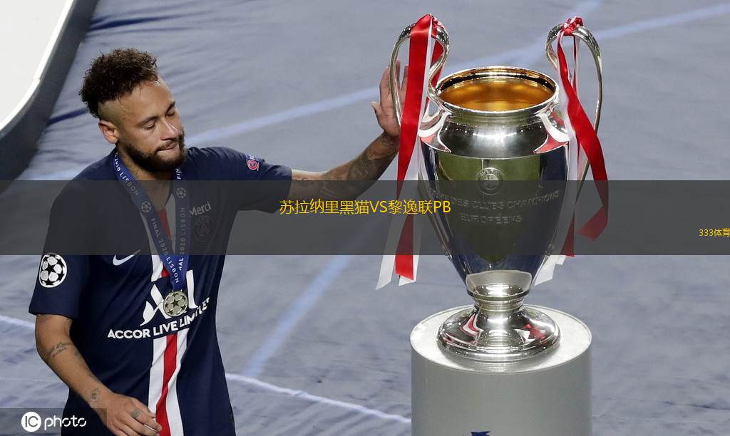 苏拉纳里黑猫VS黎逸联PB