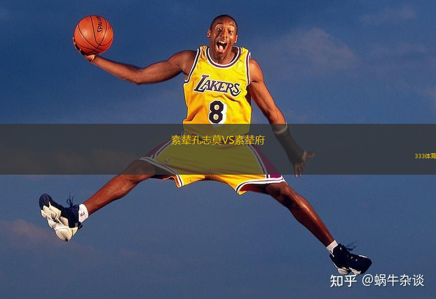 素辇孔志莫VS素辇府