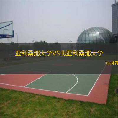 亚利桑那大学VS北亚利桑那大学